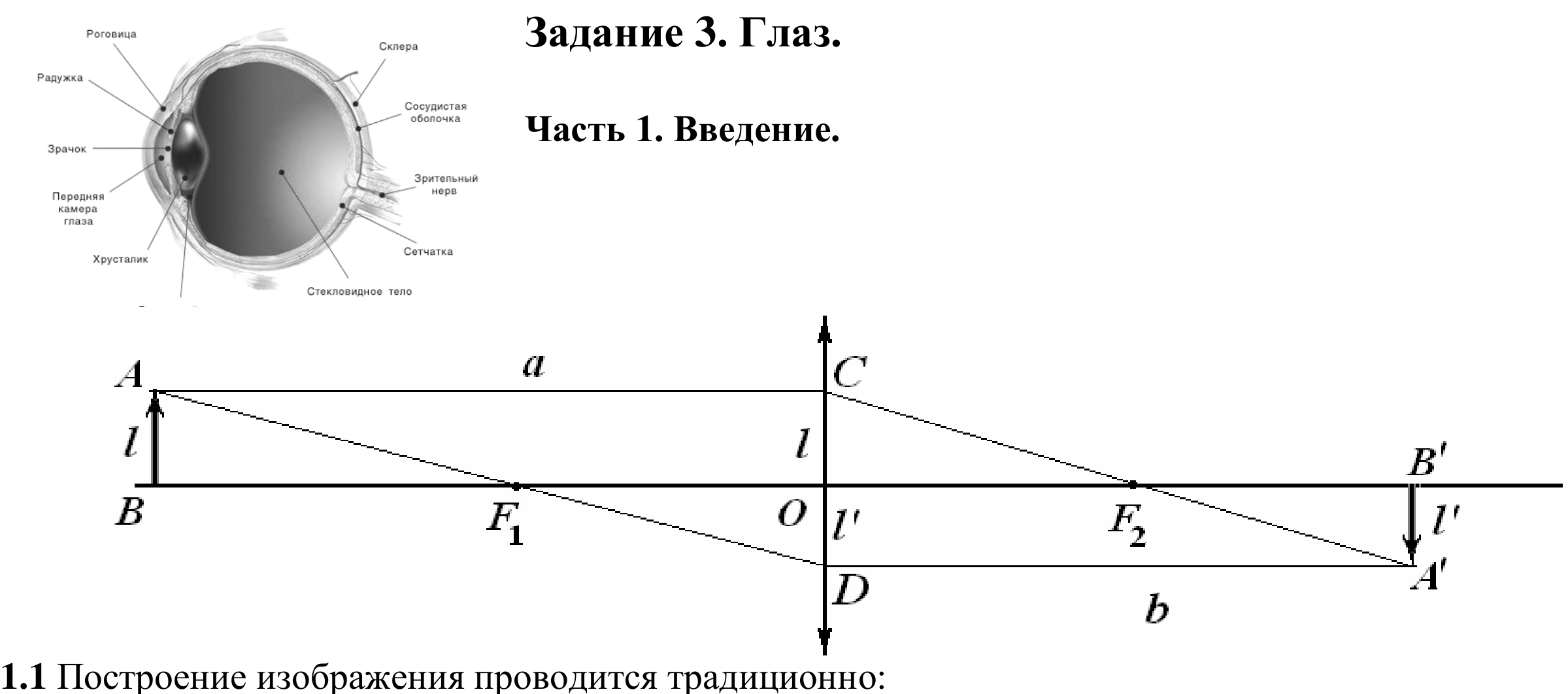 Рисунок