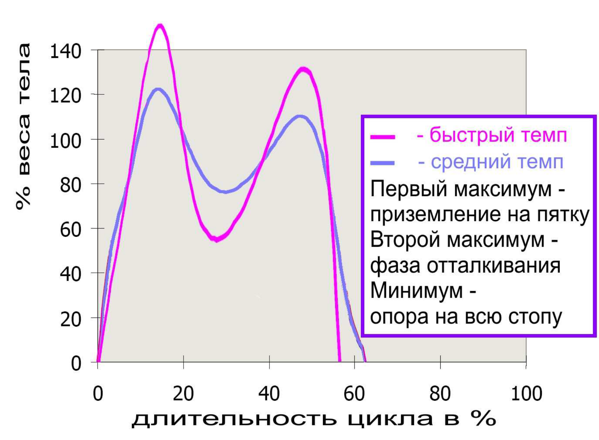 Рисунок