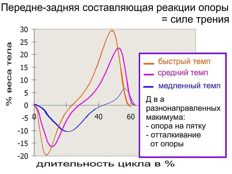 Рисунок